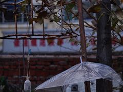 -济南轻骑摩托车有限公司(和平路)