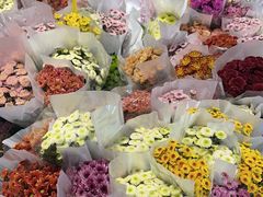 -循礼门鲜花花市(武汉循礼门店)