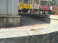 -小李烧鸡(西北角总店)