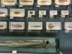 -浙江自然博物院(杭州馆)