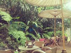 -Fern Forest Cafe