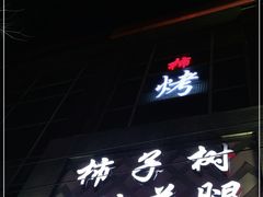 -柿子树炭烤羊腿(金台路店)
