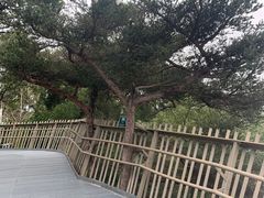 -福道