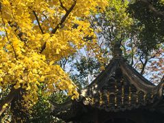 -秋霞圃