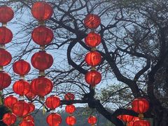 -深圳仙湖植物园