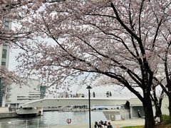 -横滨地标大厦