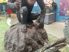 -国家自然博物馆