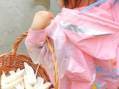 -樂桃源奉贤黄桃种植采摘基地