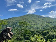 -海南霸王岭国家森林公园