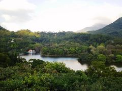 -深圳仙湖植物园