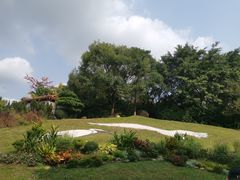 -深圳国际园林花卉博览园