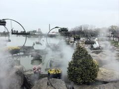 -荷兰花海