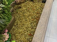 -松坂屋日料自助(长城路店)