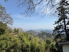 -莫干山风景区
