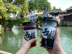 -乌镇西栅景区