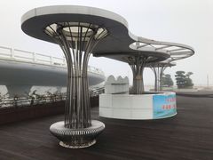 -演武大桥观景平台