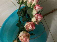 -循礼门鲜花花市(武汉循礼门店)