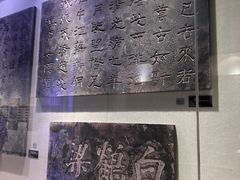 -白鹤梁水下博物馆