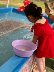 -萌宠亲子动物乐园(槐房万达店)