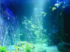 -沈阳海洋探索中心