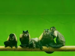 -北京野生动物园