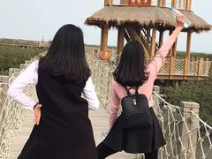 -北海金海湾红树林生态旅游区