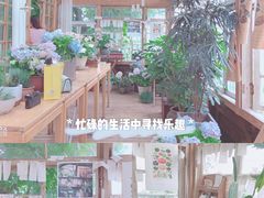 -懒鱼时光馆(沙坪坝店)