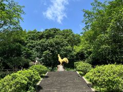 -海口火山口国家地质公园