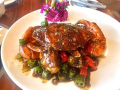 -顺德了能馆(虎门店)