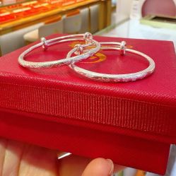 -中国黄金(北京旗舰店)