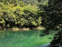 -祁门牯牛降观音堂风景区