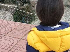 -南京金牛湖风景区