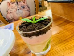 -more than meow吴止猫主题餐厅(承德 中船汇店)