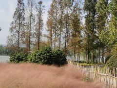 -云龙湖旅游景区