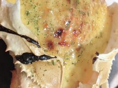 -紫· 割烹  Kappo Murasaki