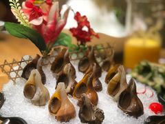 贝类组合-尚海豆捞(乐虹坊店)