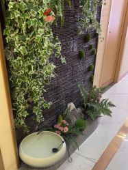 -芳朵美容养生SPA