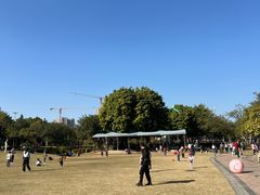 -海珠儿童公园