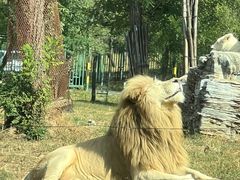 -秦皇岛野生动物园