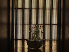 -上海璞麗酒店