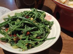 -树厨贵州菜(花果园购物中心店)