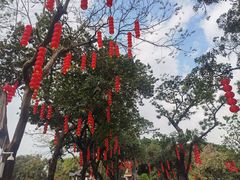 -荔湾湖公园