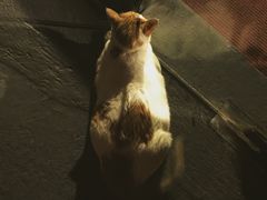 -江湖边·小生活