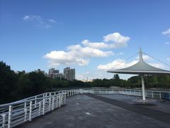 -新江湾城公园