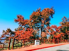 -广州市石门国家森林公园
