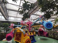 -南宫五洲植物乐园