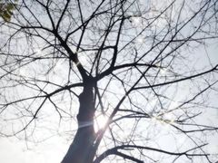 -重庆彩云湖湿地公园