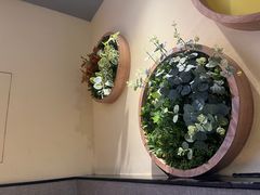 -豪客来牛排(重庆三峡广场步行街1704店)