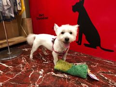 -多卡布奇宠物生活馆(上林世家店)