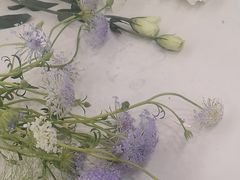 -杭州街角花屋花店(闻堰店)